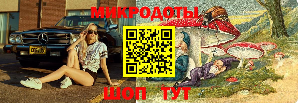 Галлюциногенные грибы мицелий Чусовой
