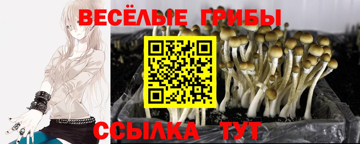Псилоцибиновые грибы ЛСД  Псилоцибиновые грибы Magic Shrooms  Чусовой  Вход с VPN 